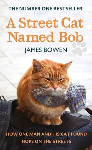 Cover of A street cat named Bob