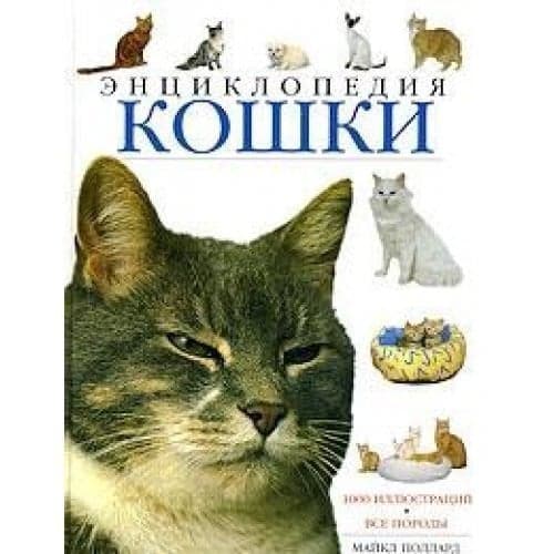 Cover of The Encyclopedia of the Cat
