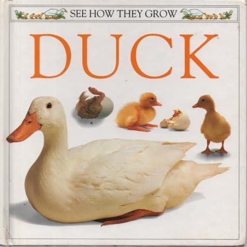 Cover of Duck