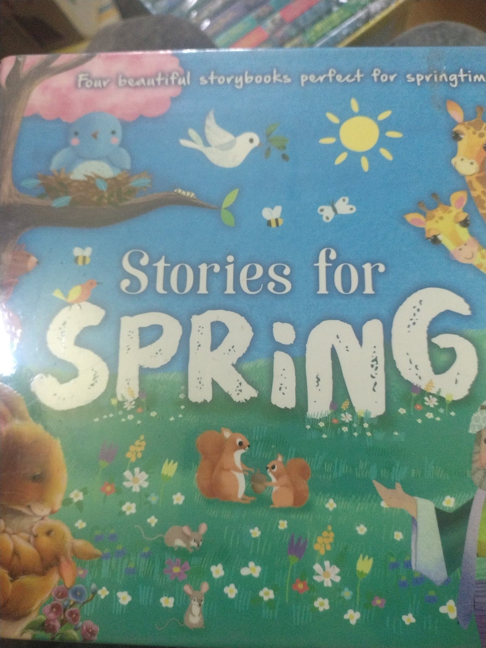 Cover of SPRING 🌼🌱 ( SET OF 4 BOOK 📚 )