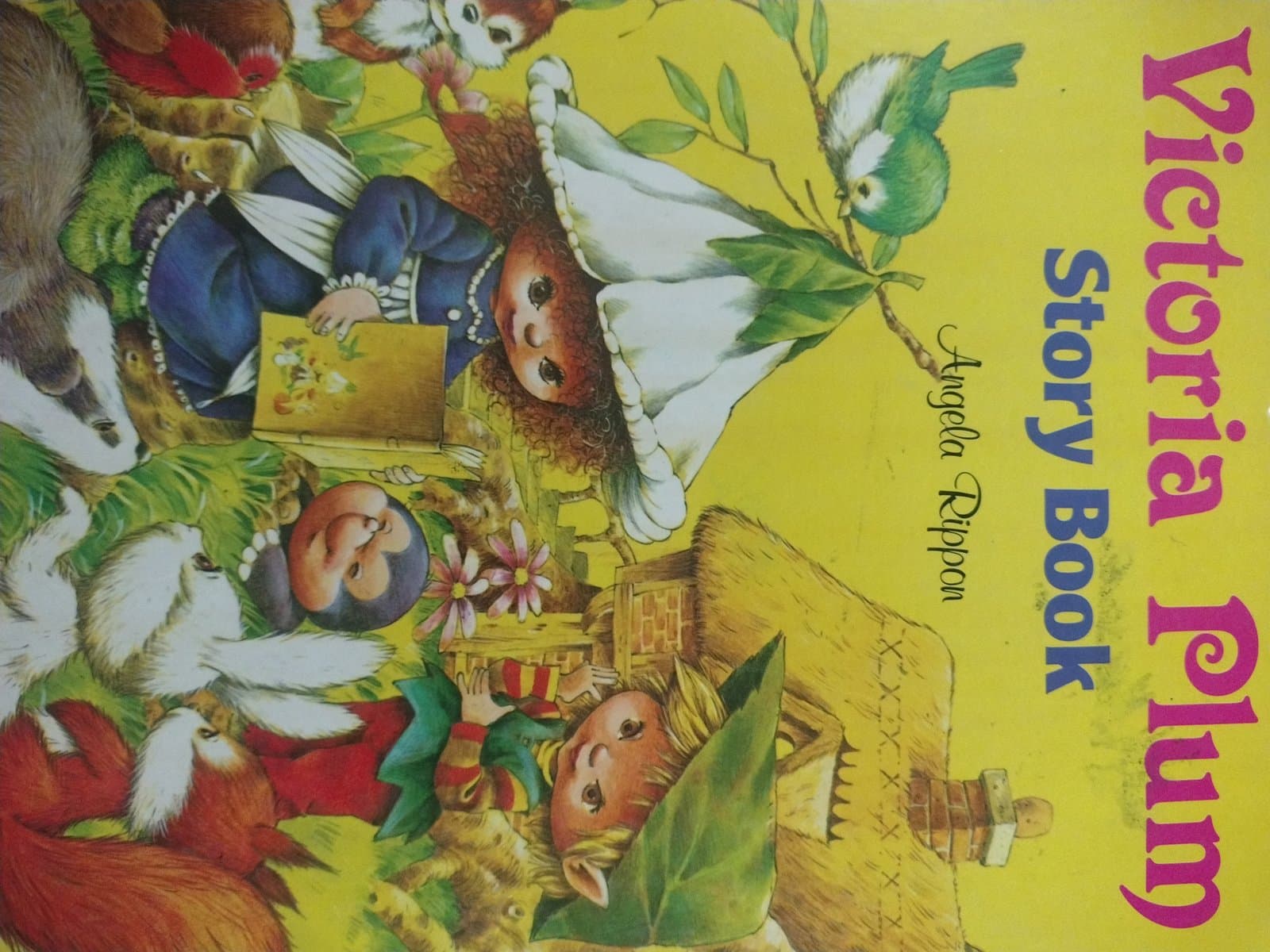 Cover of Victoria plum story book 📚