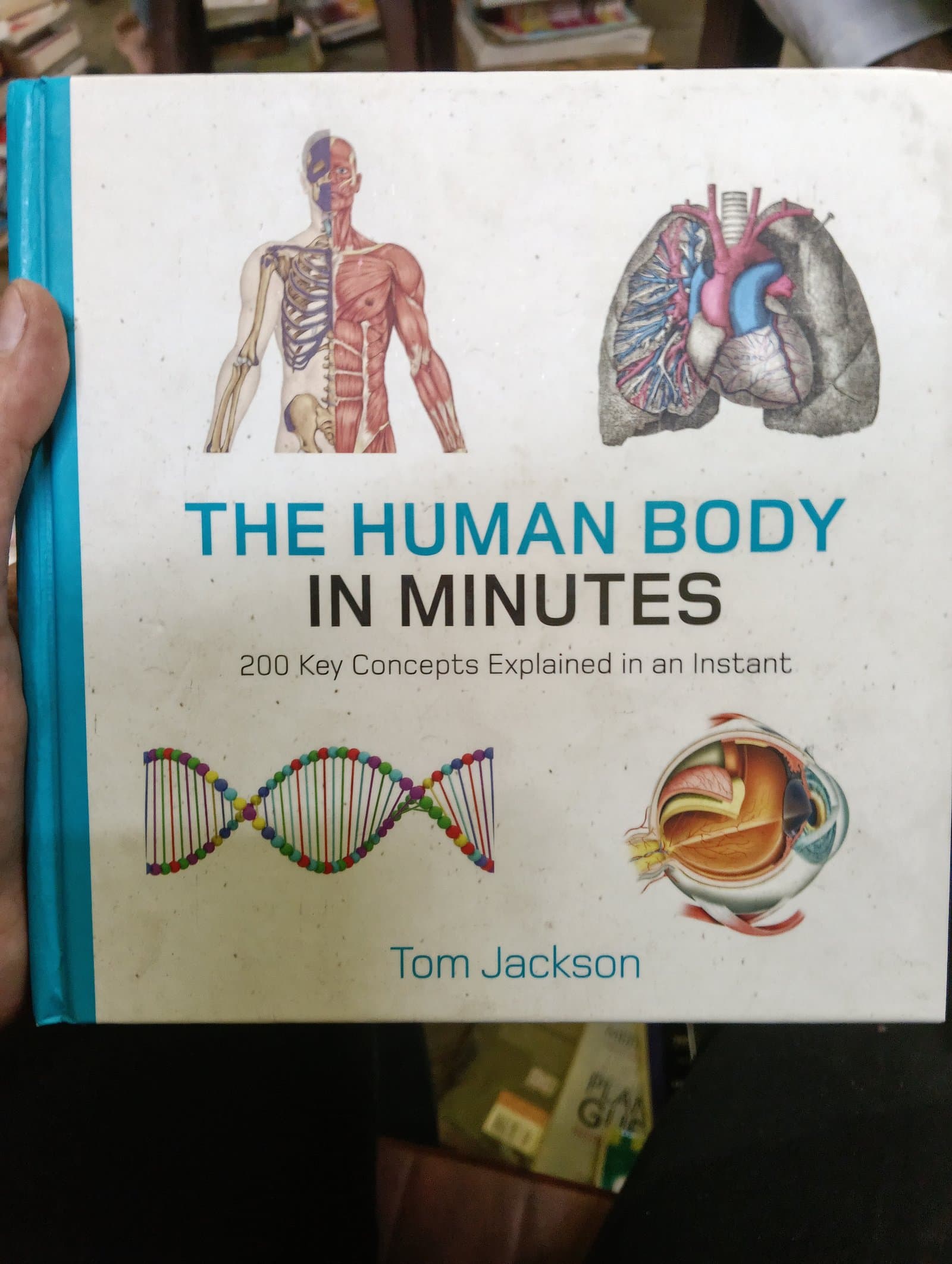 Cover of The human body in minutes
