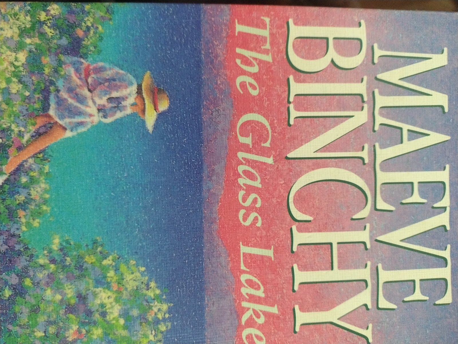 Cover of MAEVE BICHYN