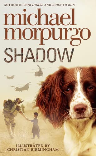 Cover of Shadow