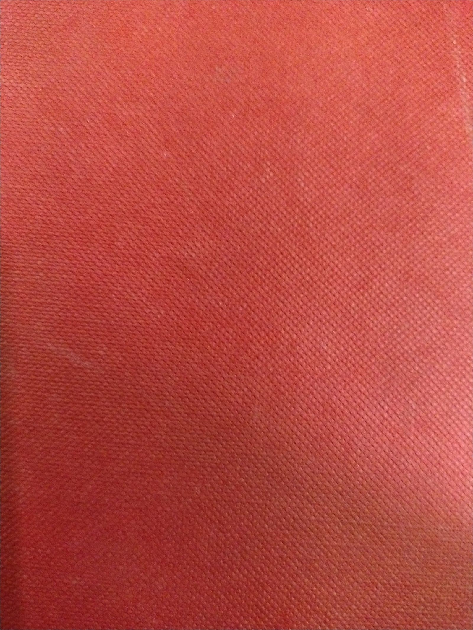 Cover of MY SISTER