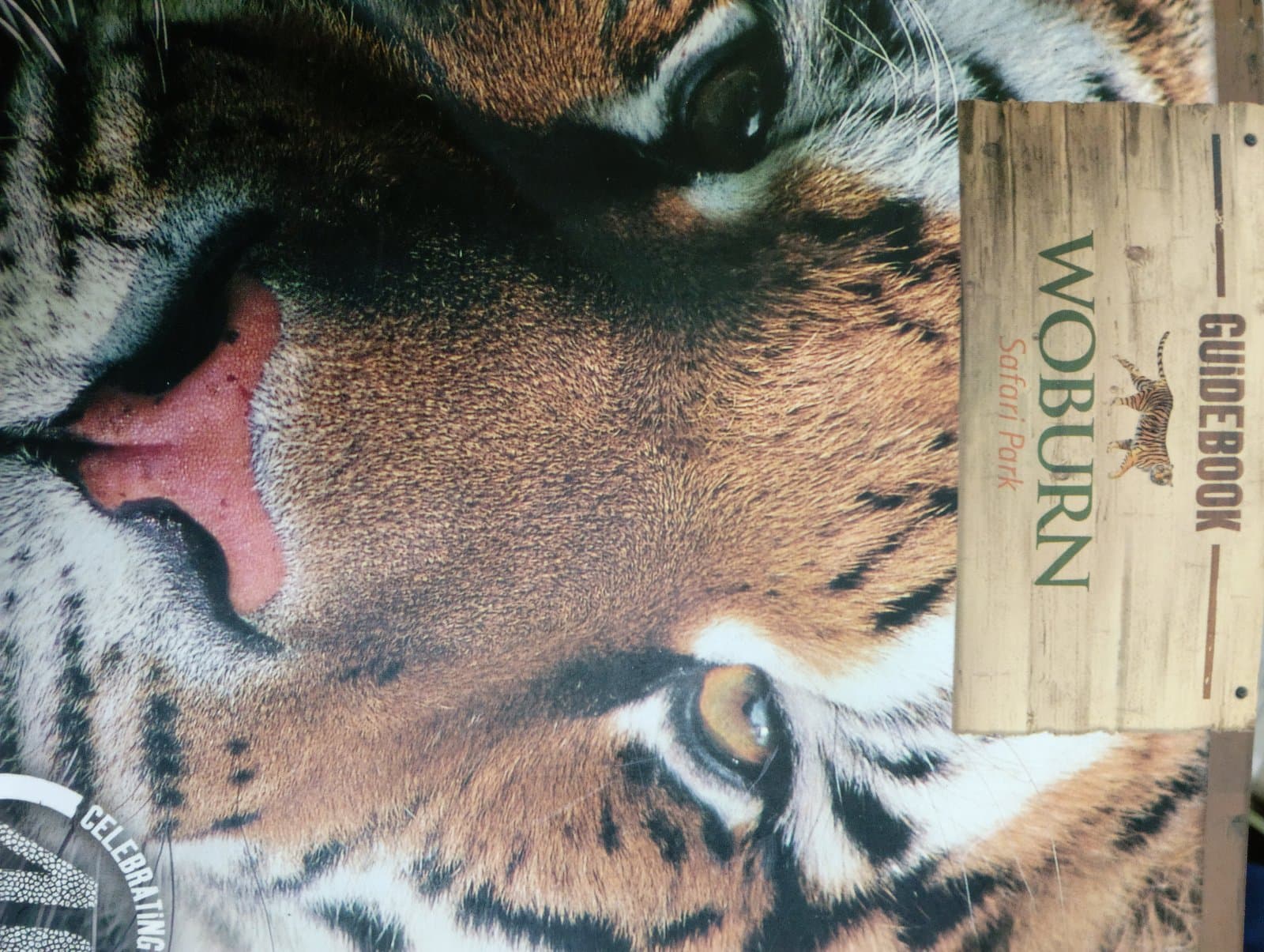 Cover of Woburn safari park