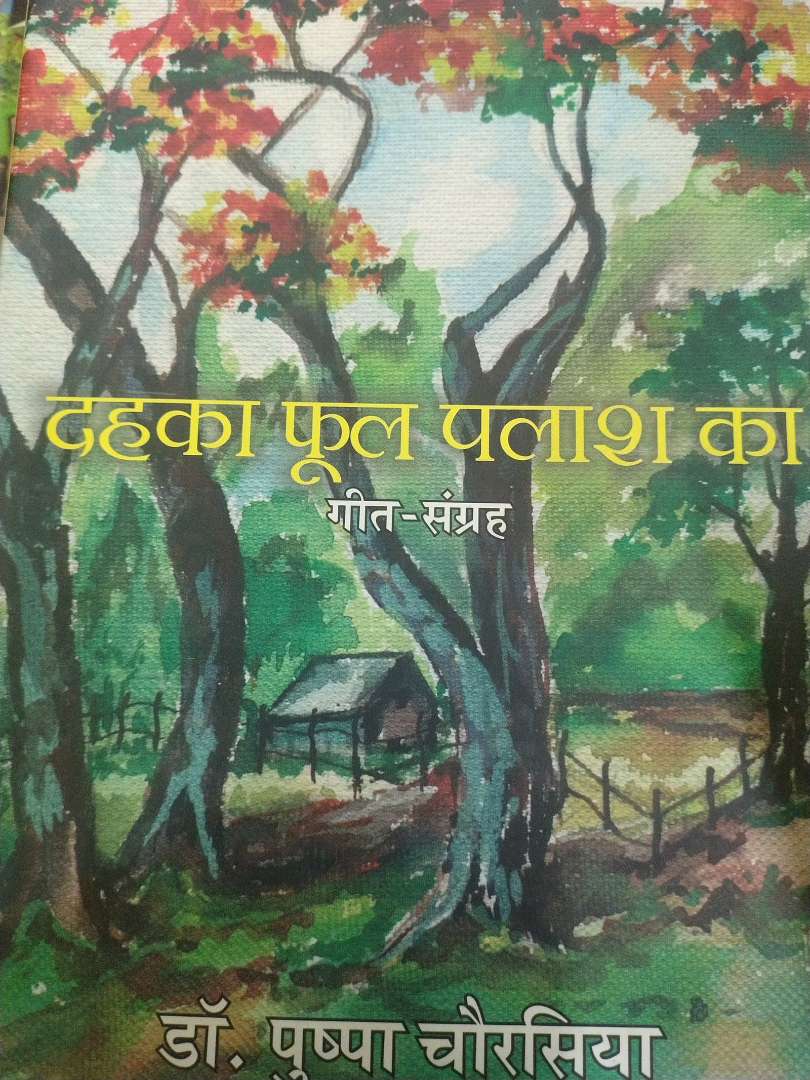 Cover of DEKHA FUUL PLAASH KA