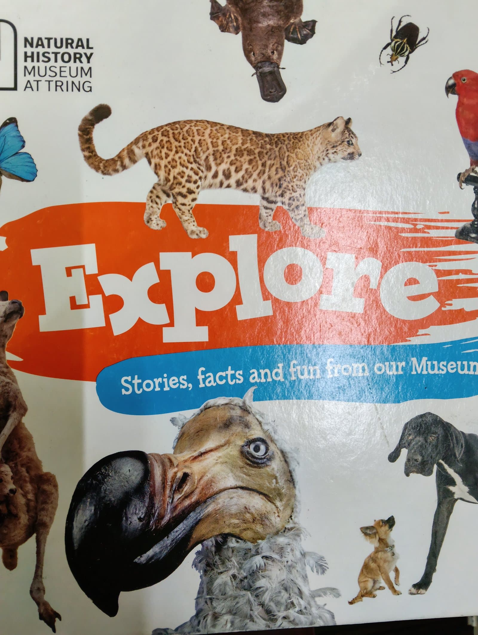 Cover of Explorers