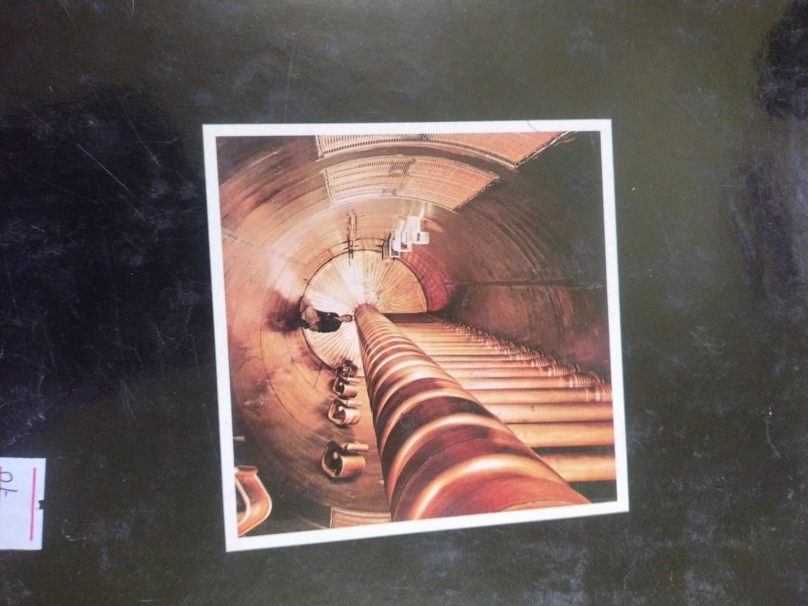 Cover of Basic science