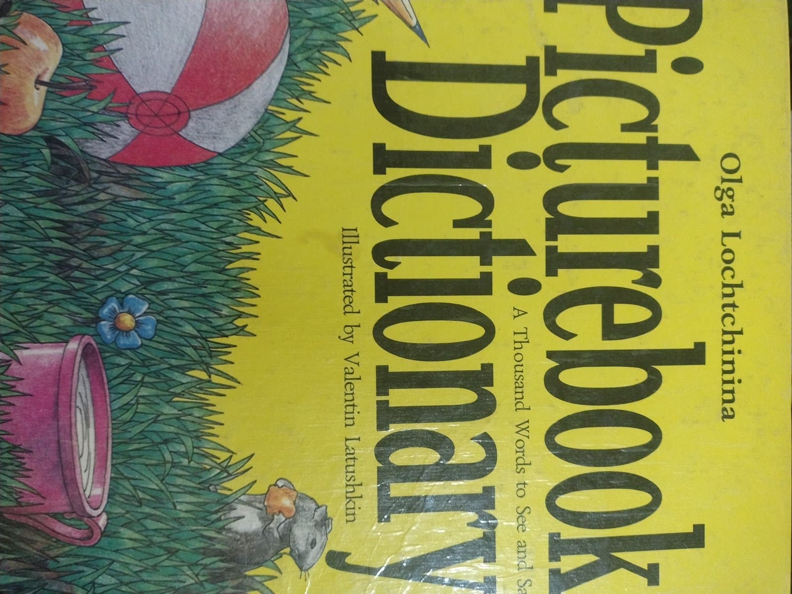 Cover of PICTREBOOK
