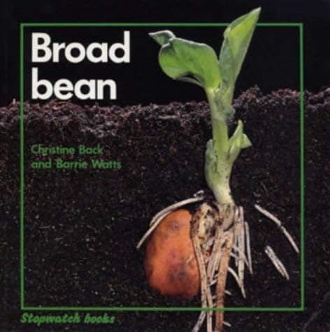 Cover of Broad Bean
