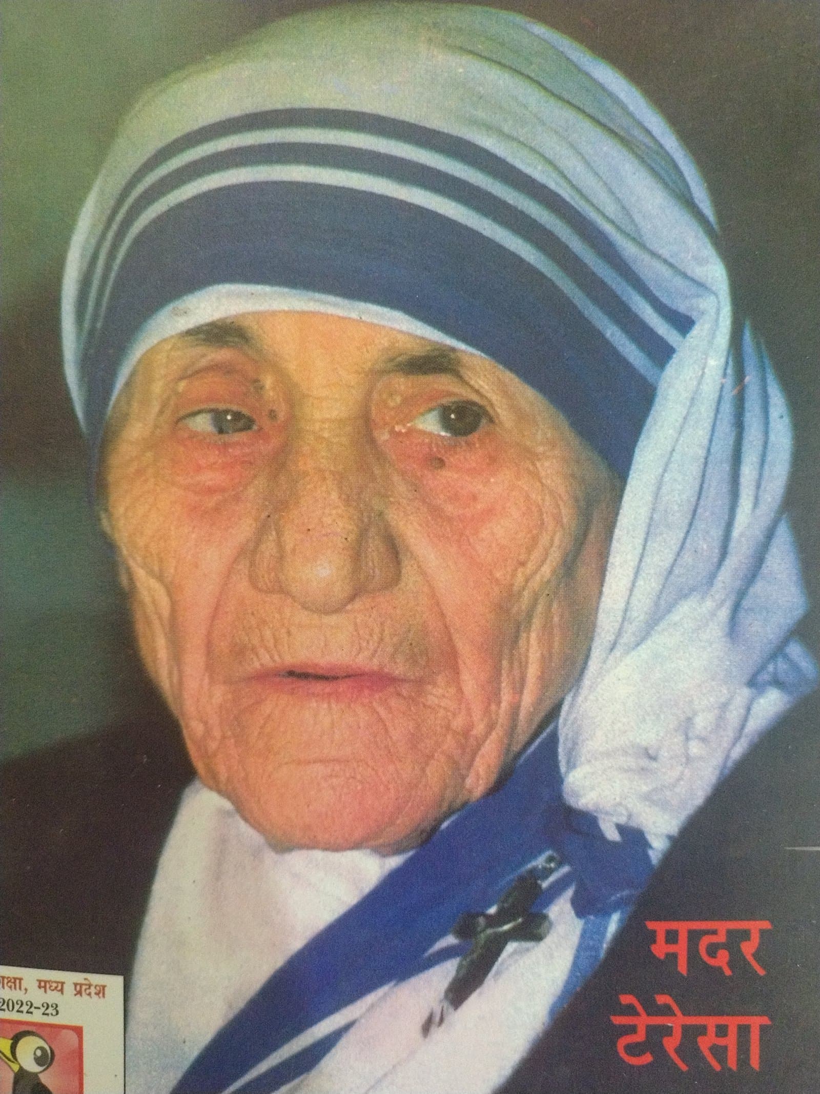 Cover of मदर टैरिस
