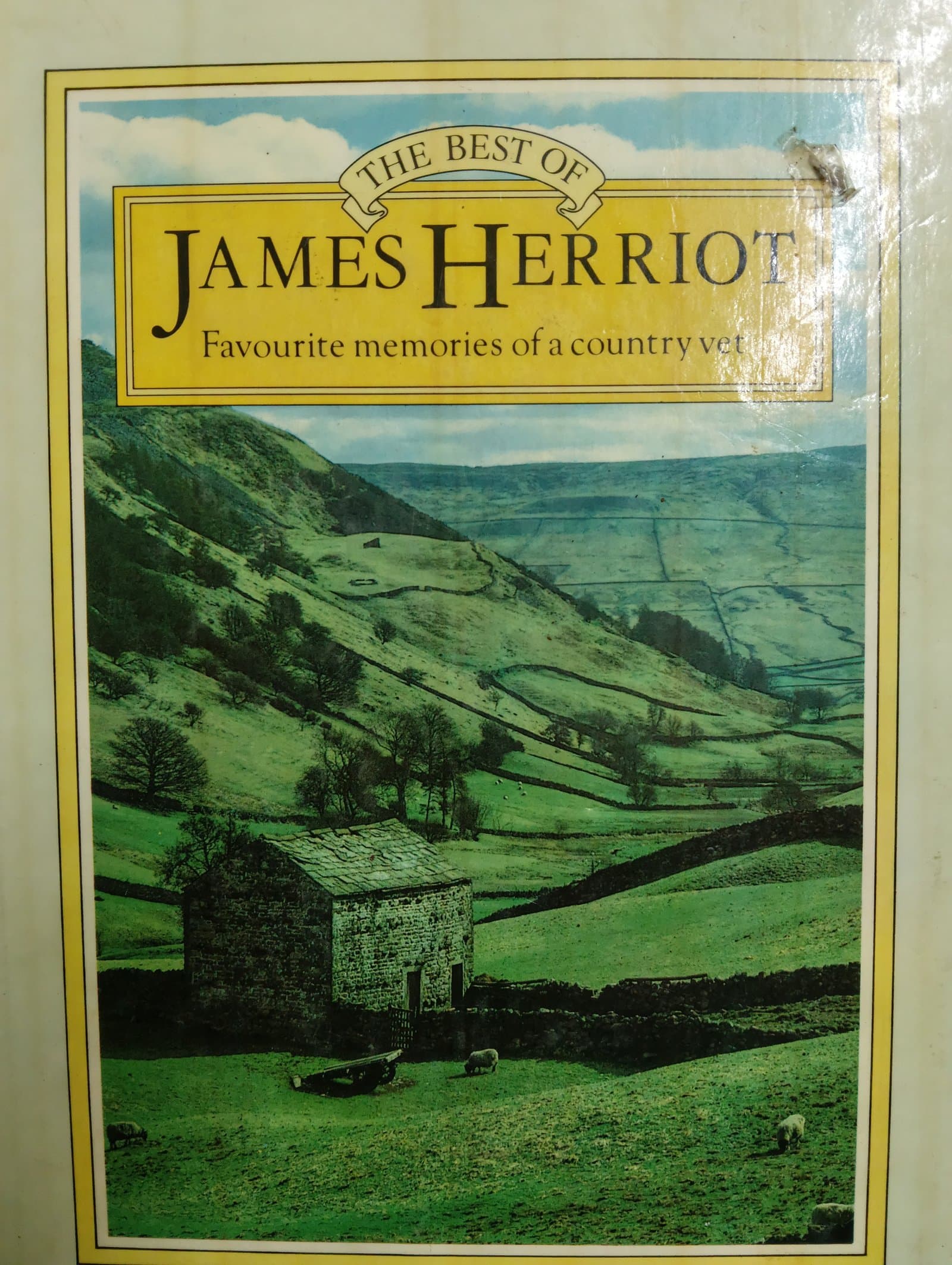 Cover of The best James herriot