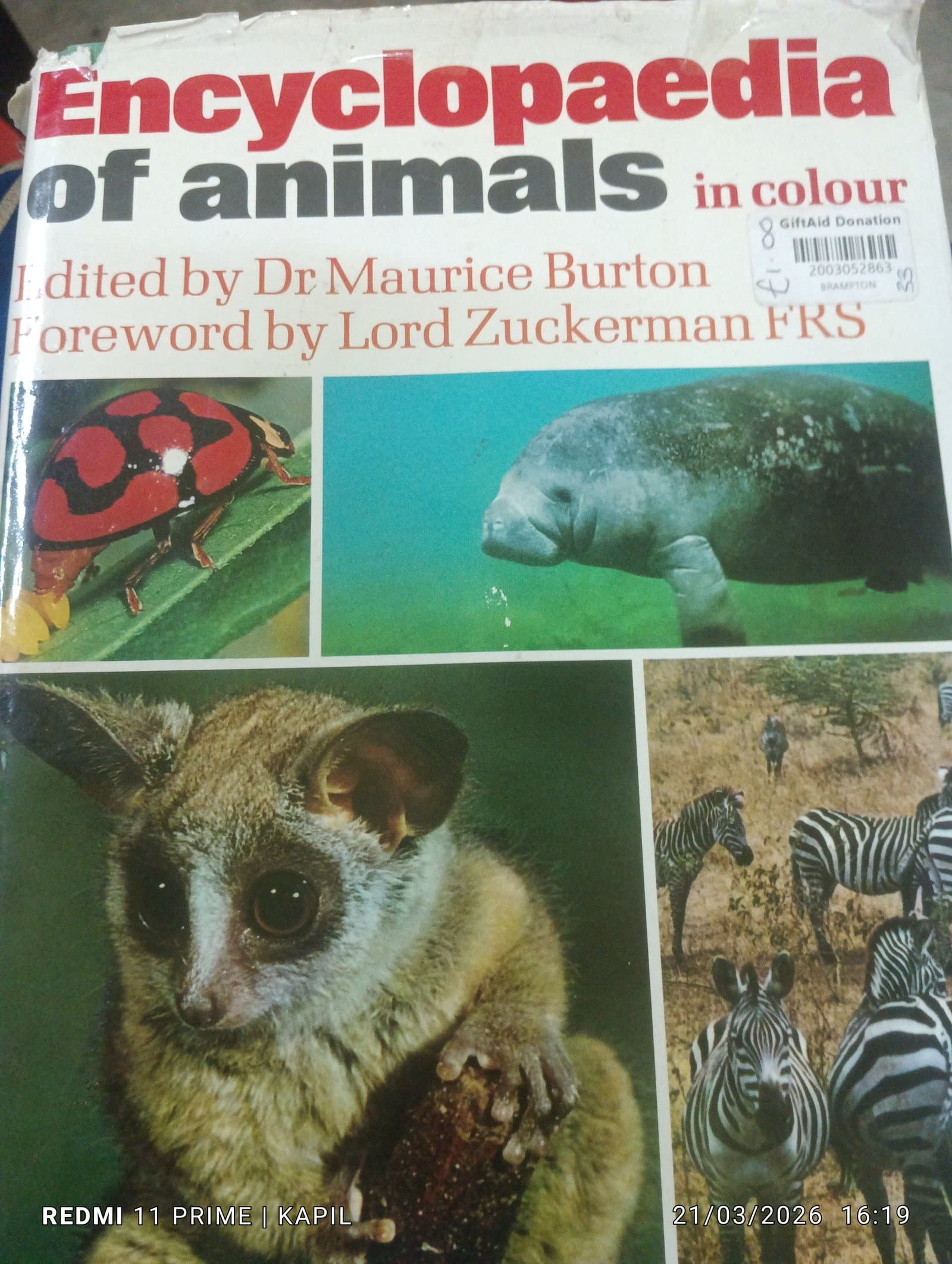Cover of encyclopedia of animals
