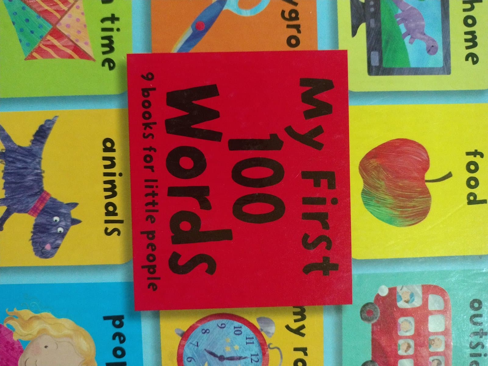 Cover of MY FIRST 100 WORDS