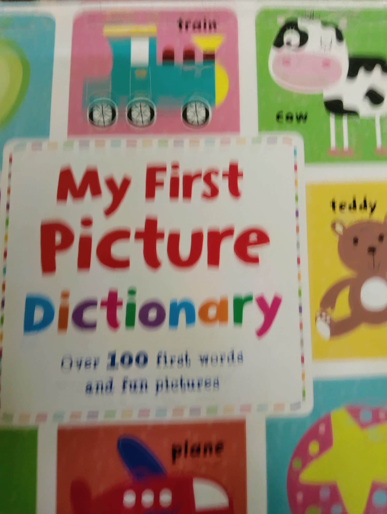 Cover of my first picture