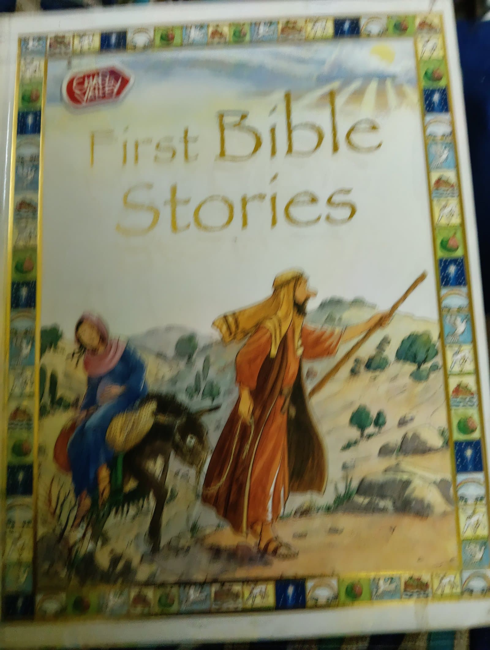 Cover of first bible