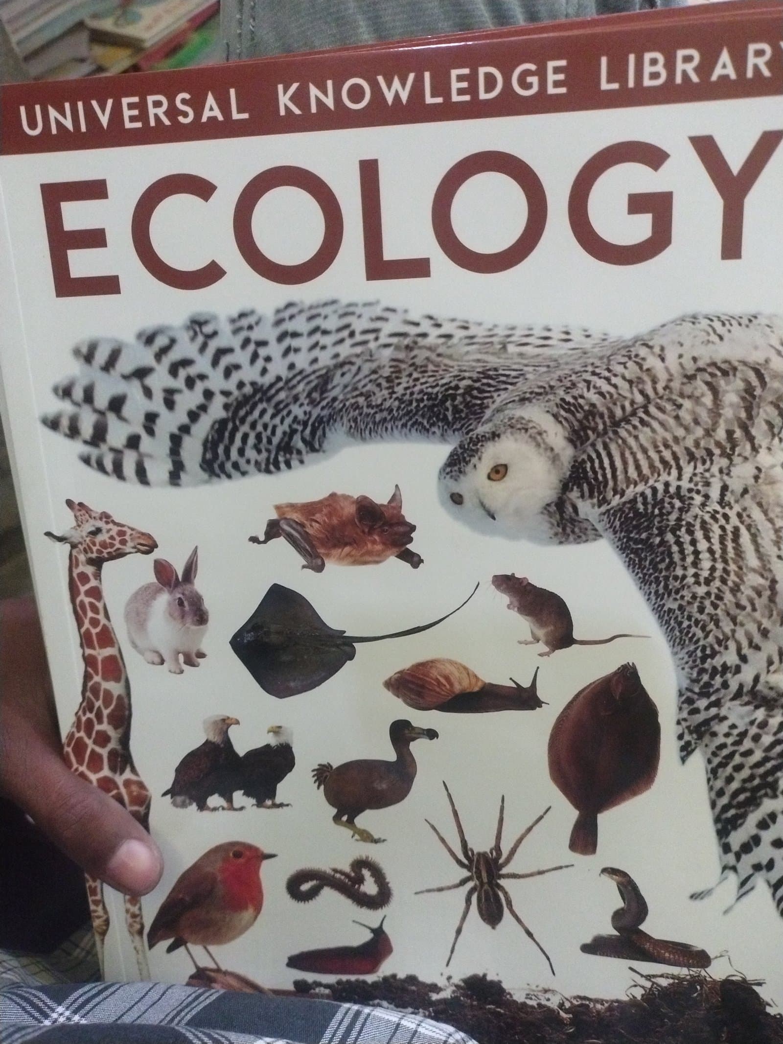 Cover of ECOLOGY
