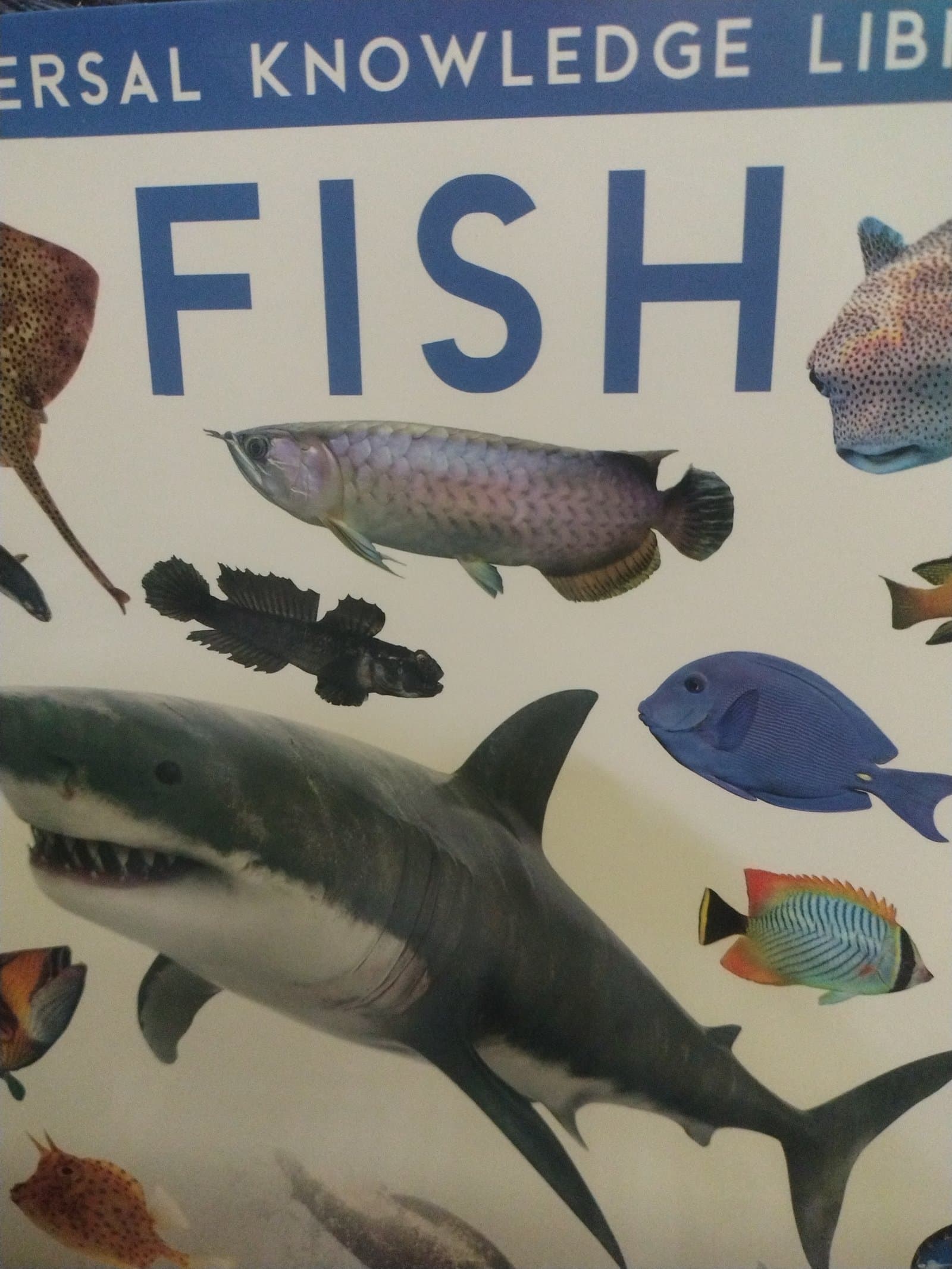 Cover of FISH 🐠🐟