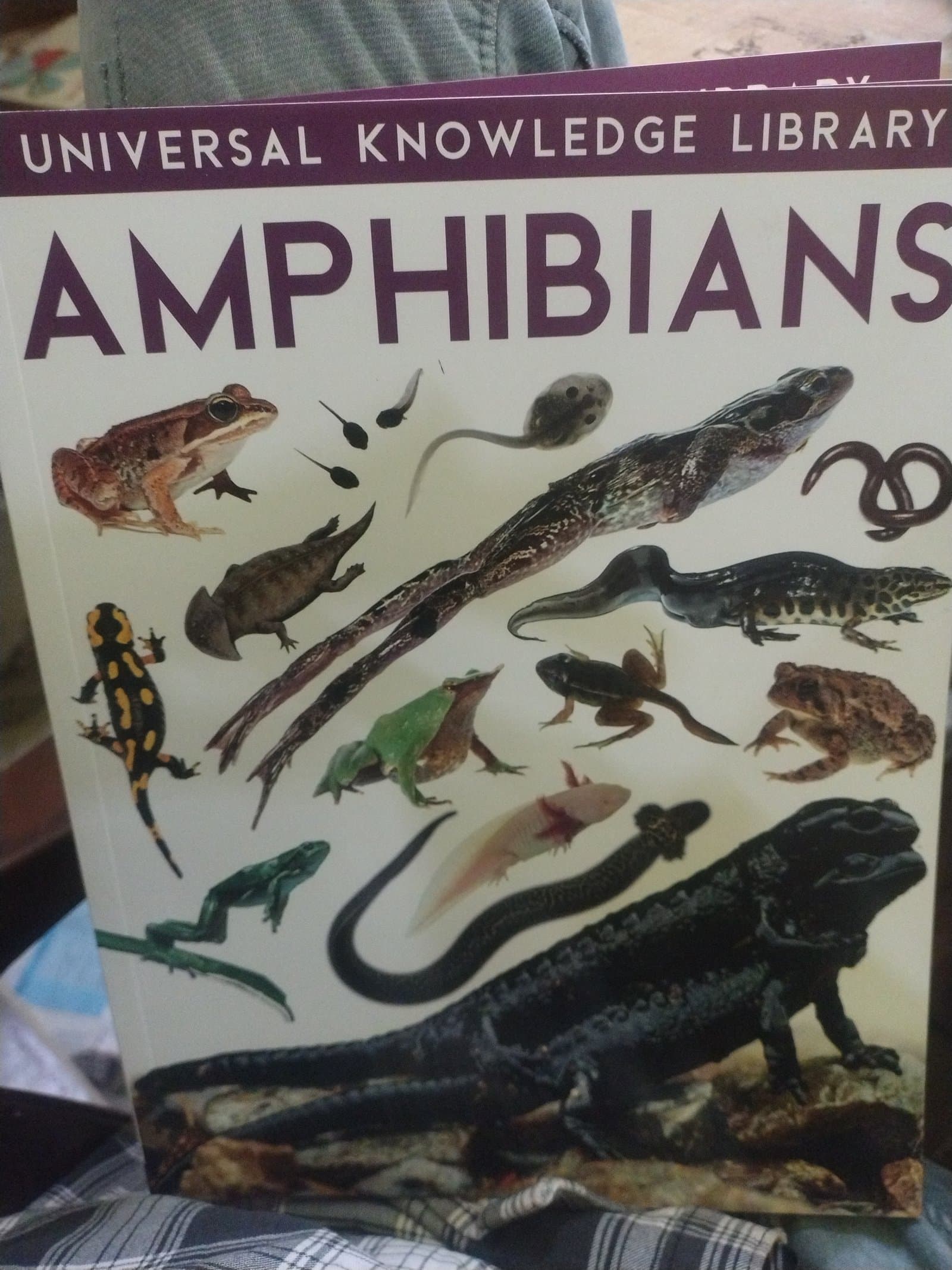 Cover of AMPHIBIANS