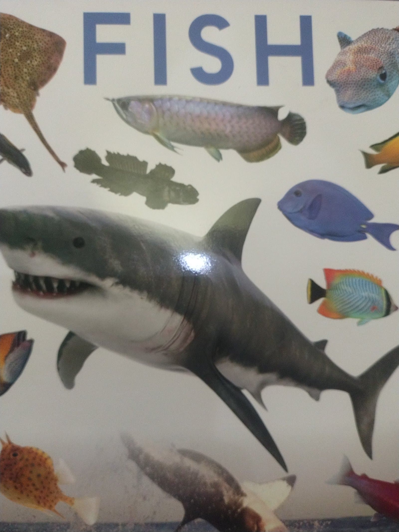 Cover of 🐠🐟