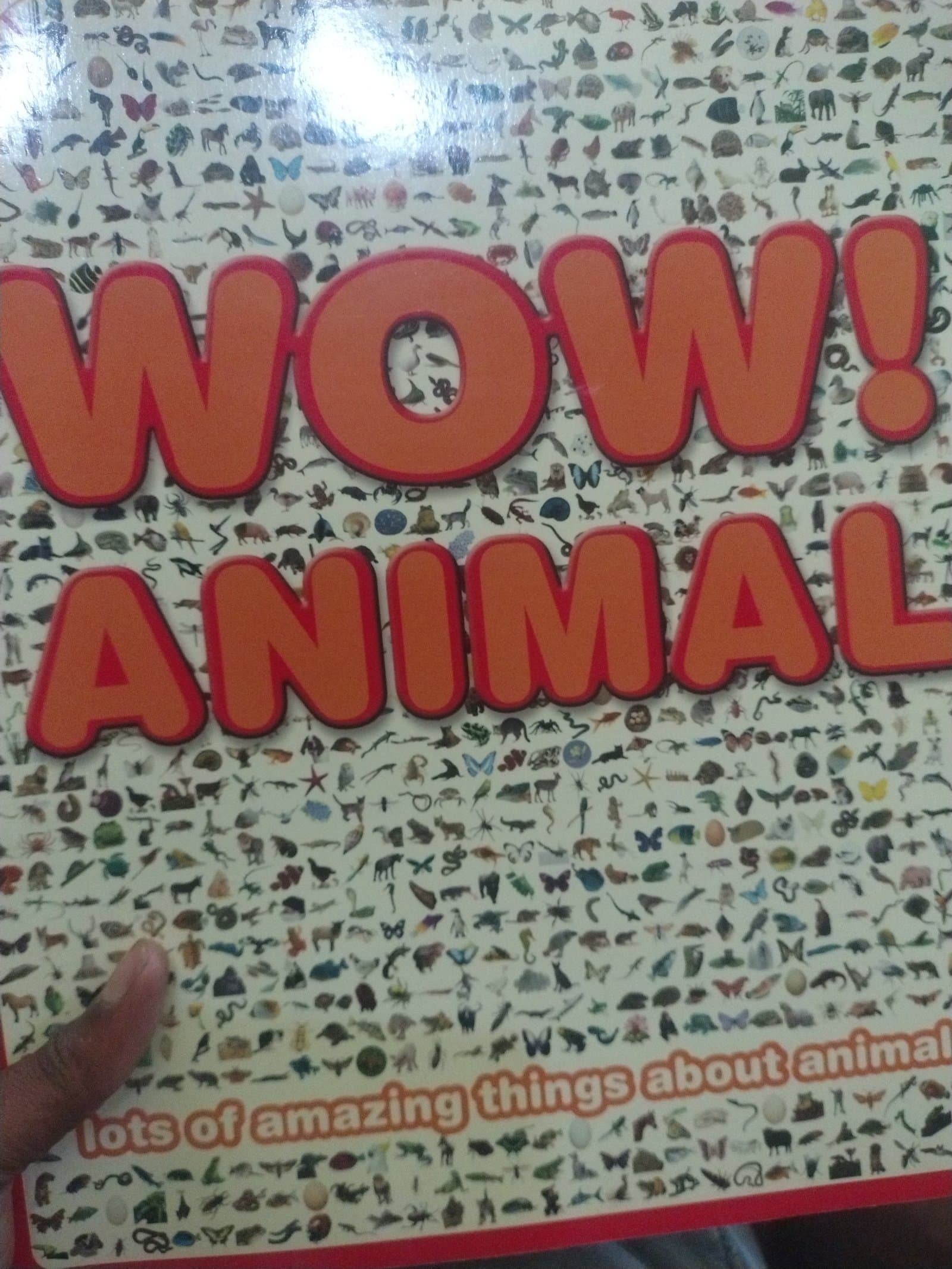 Cover of WOW ANIMAL