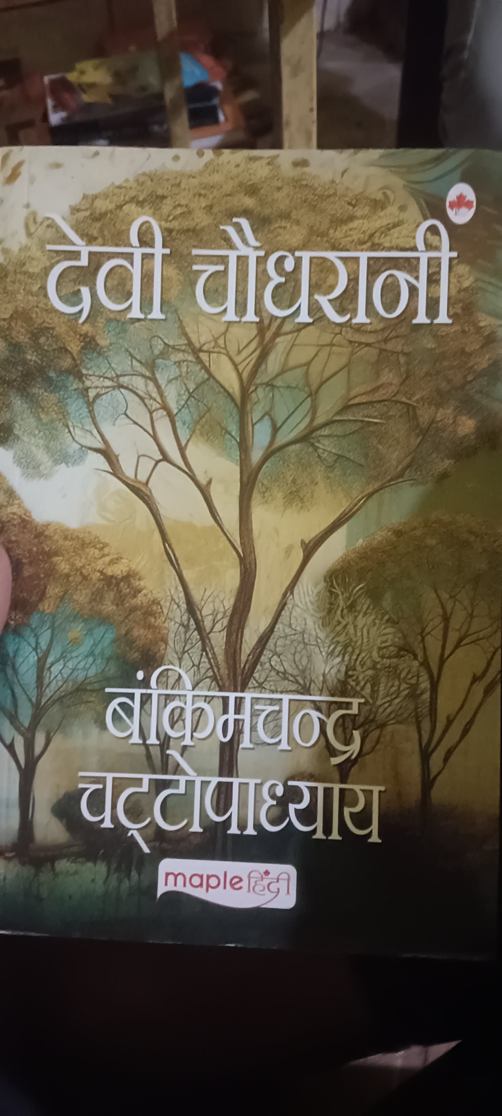 Cover of देवी चौधरानी