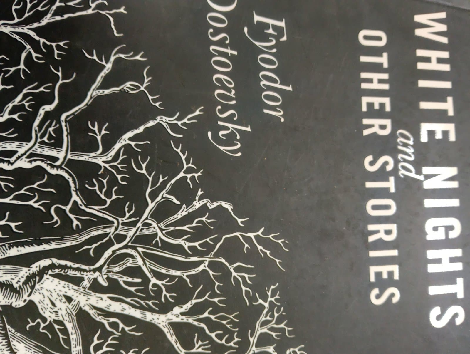 Cover of White night And other