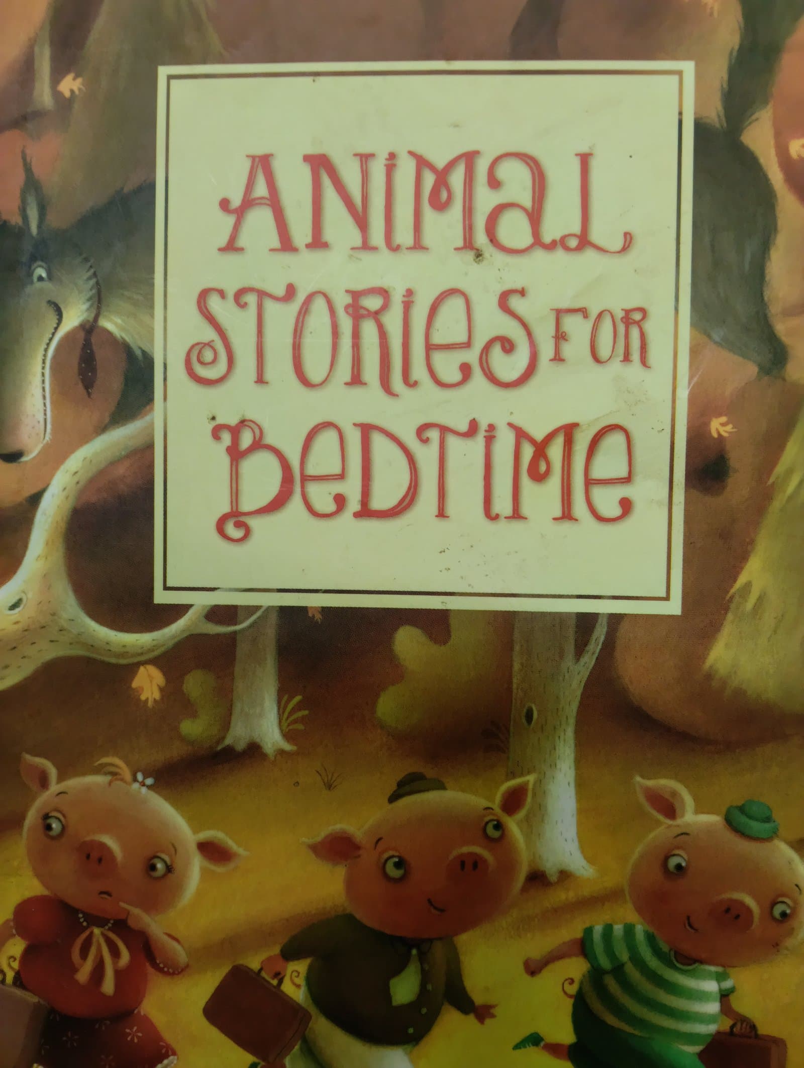 Cover of Animal Stories for bedtime