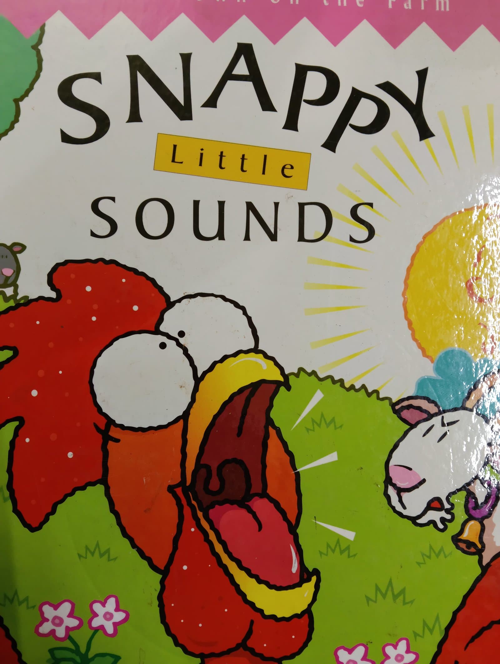 Cover of Snappy Little sound