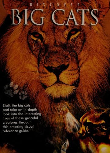 Cover of Discover Big Cats