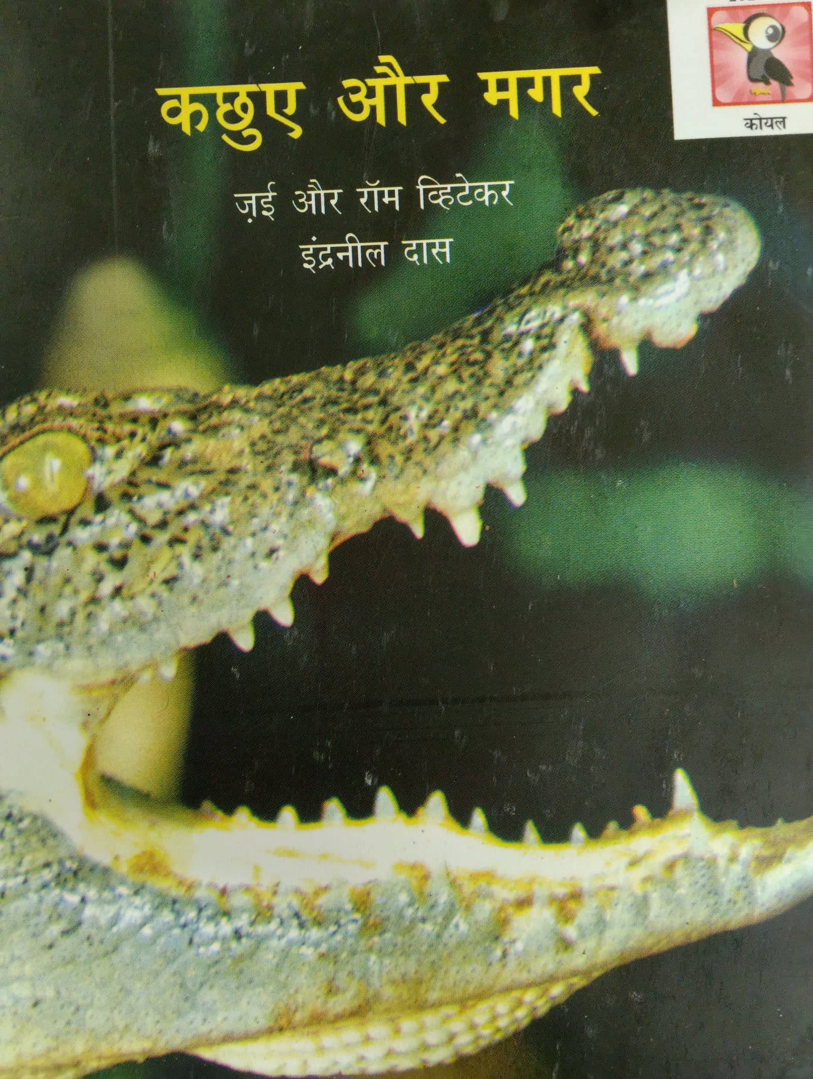 Cover of कछुए और मगर