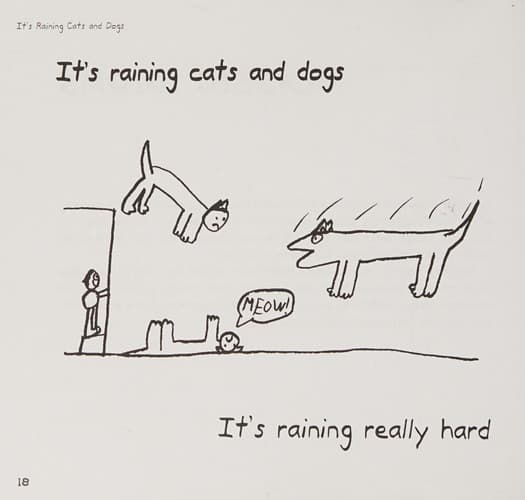 Cover of It's Raining Cats and Dogs An Autism Spectrum Guide to the Confusing World of Idioms, Metaphors, and Everyday Expressions