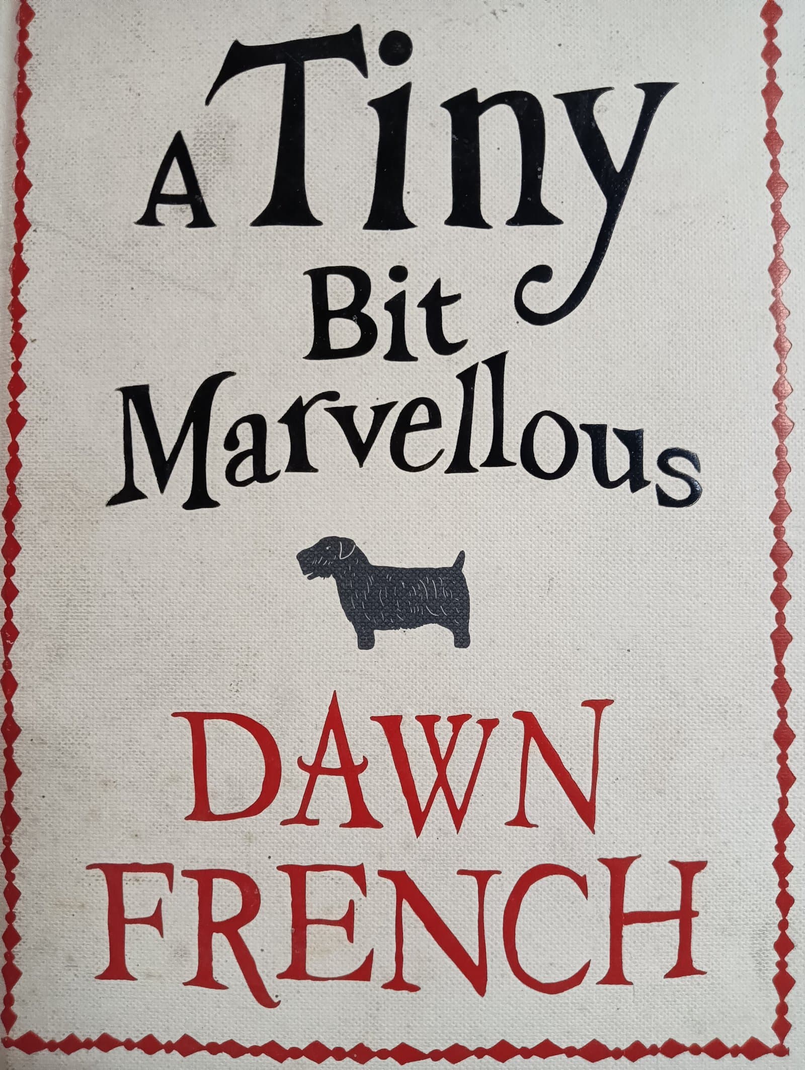 Cover of A tiny Bit Marvellous