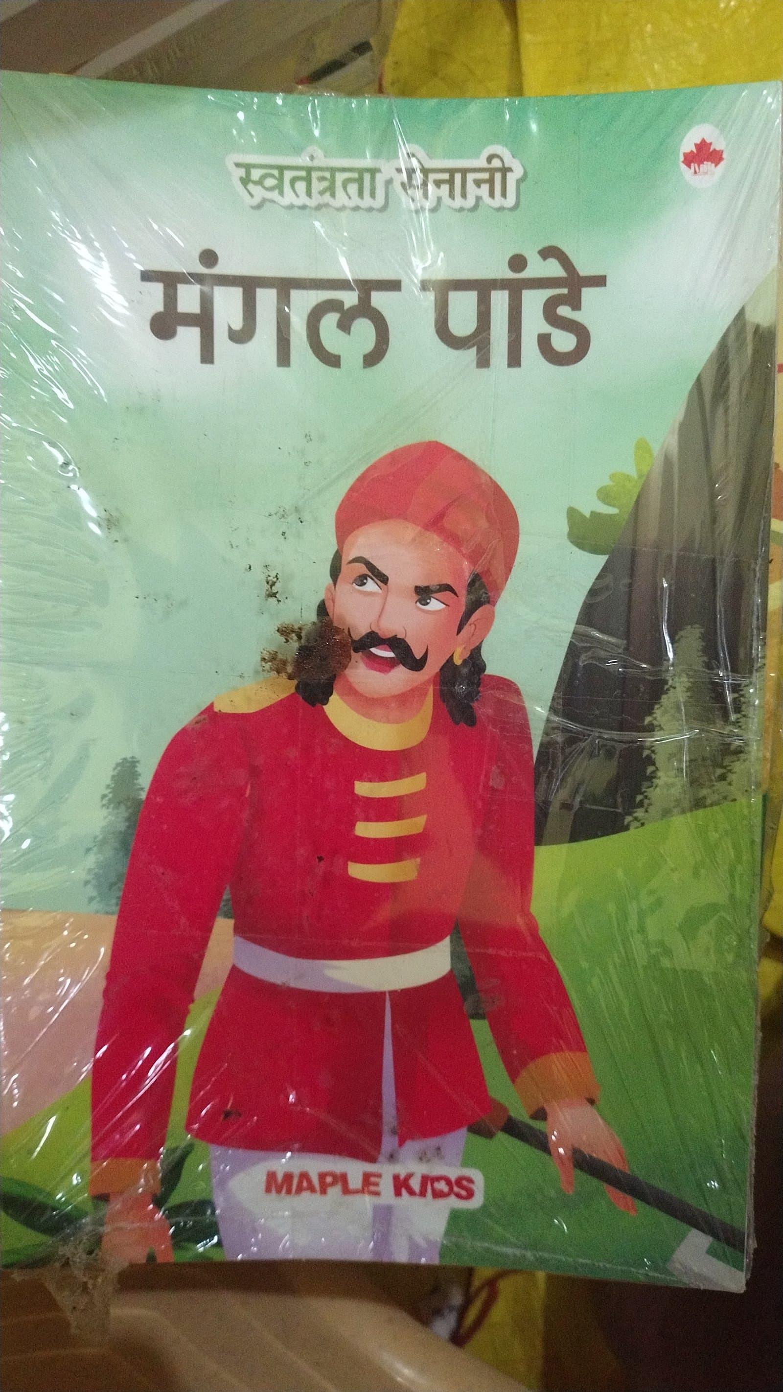Cover of HINDI BIOGRAPHY ( SET OF 85 BOOK )