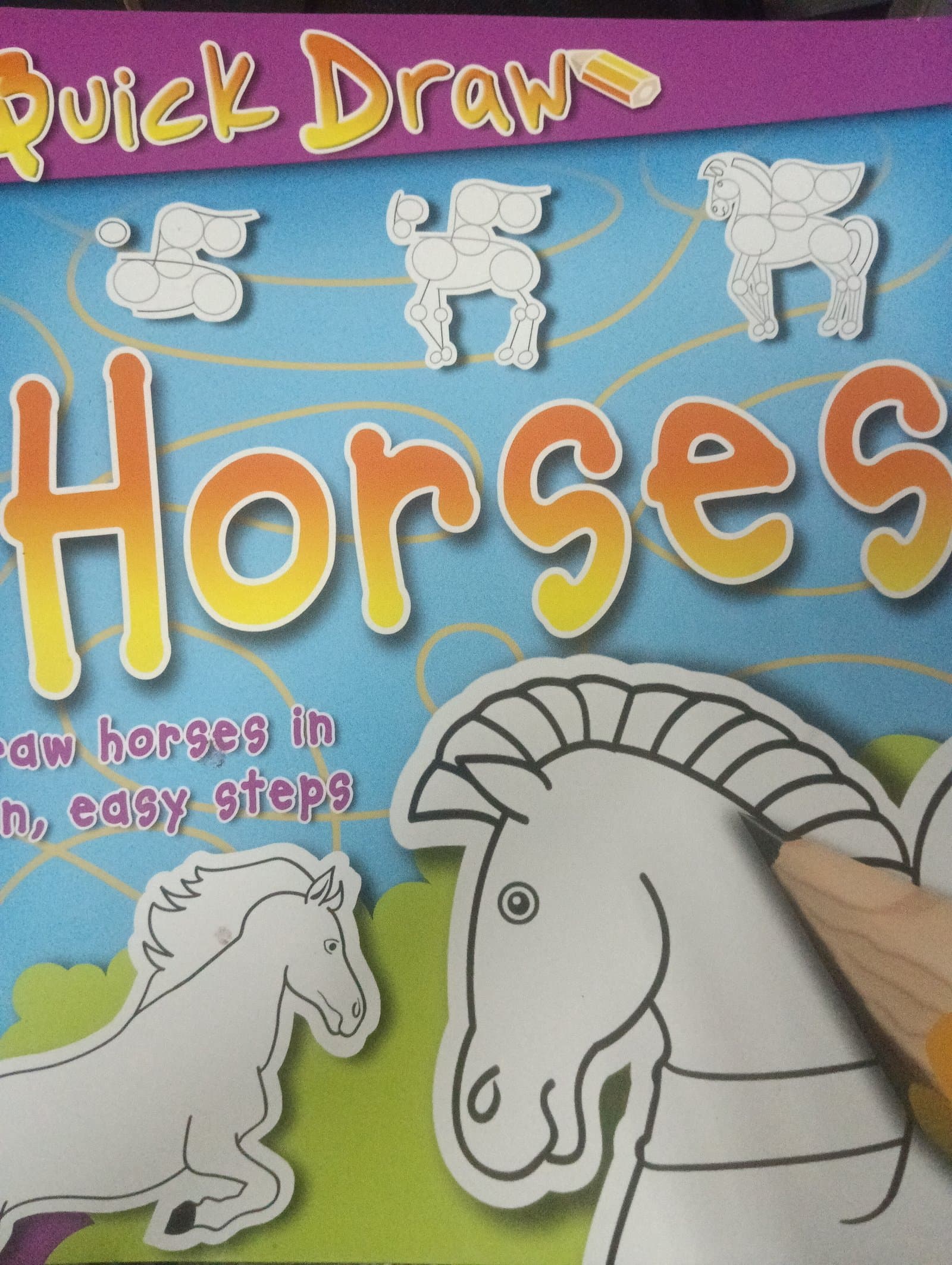 Cover of horse