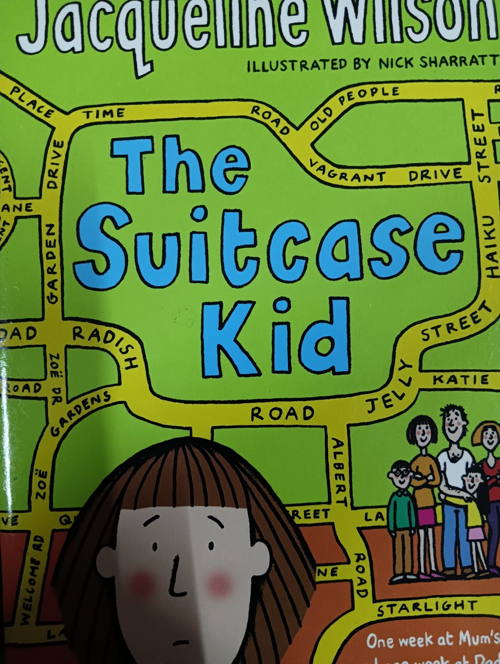 Cover of The Suitcase kid
