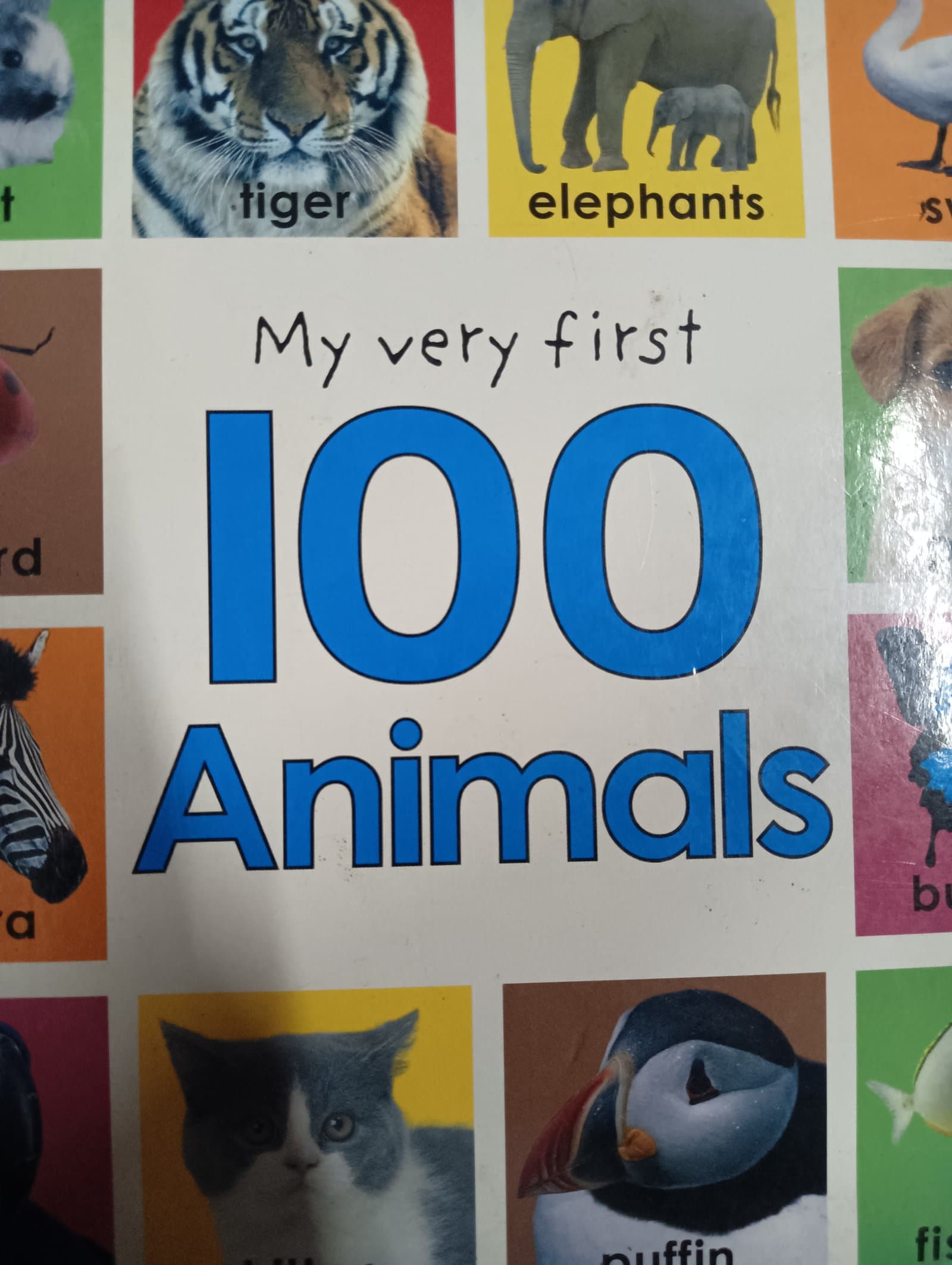 Cover of My very first 100 Animals