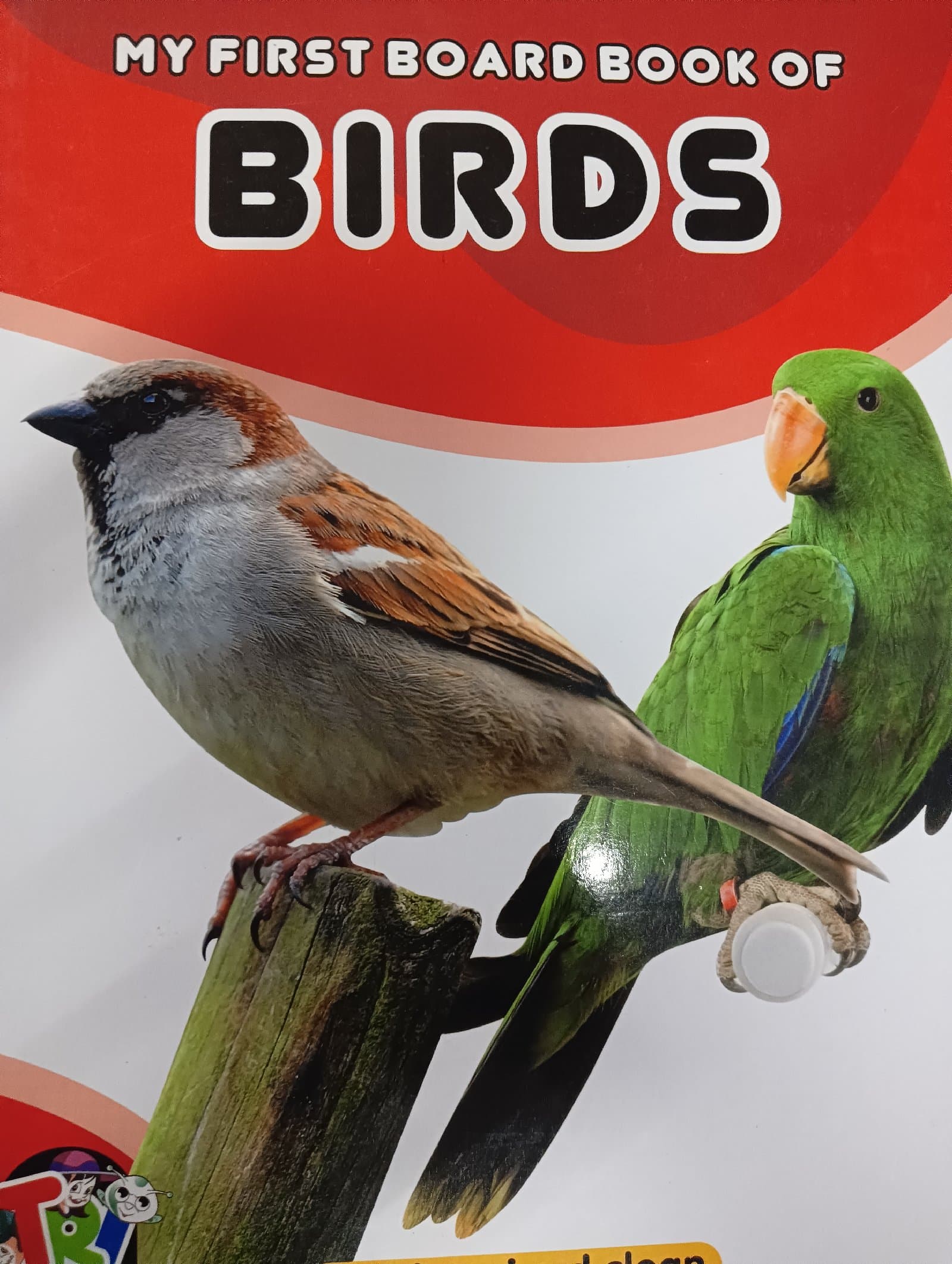 Cover of Birds